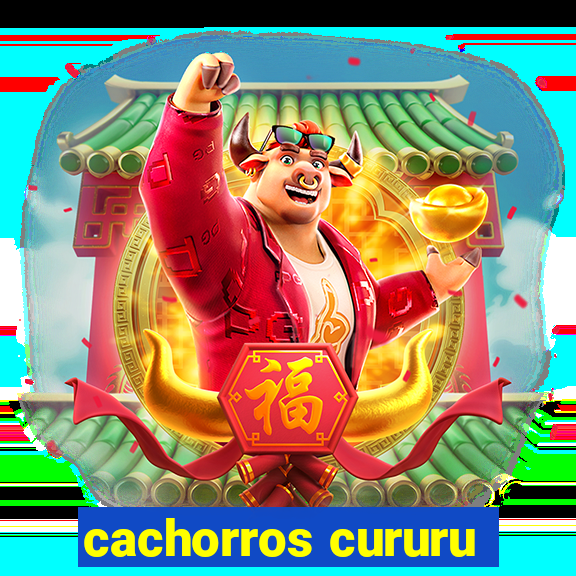 cachorros cururu